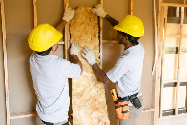 Best Energy-efficient Insulation  in Pughtown, PA