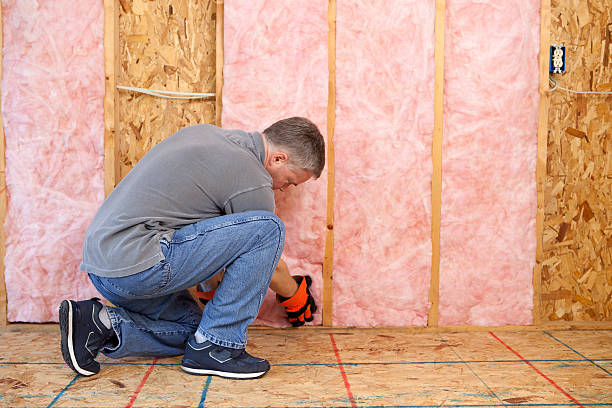 Best Local Insulation Services  in Pughtown, PA